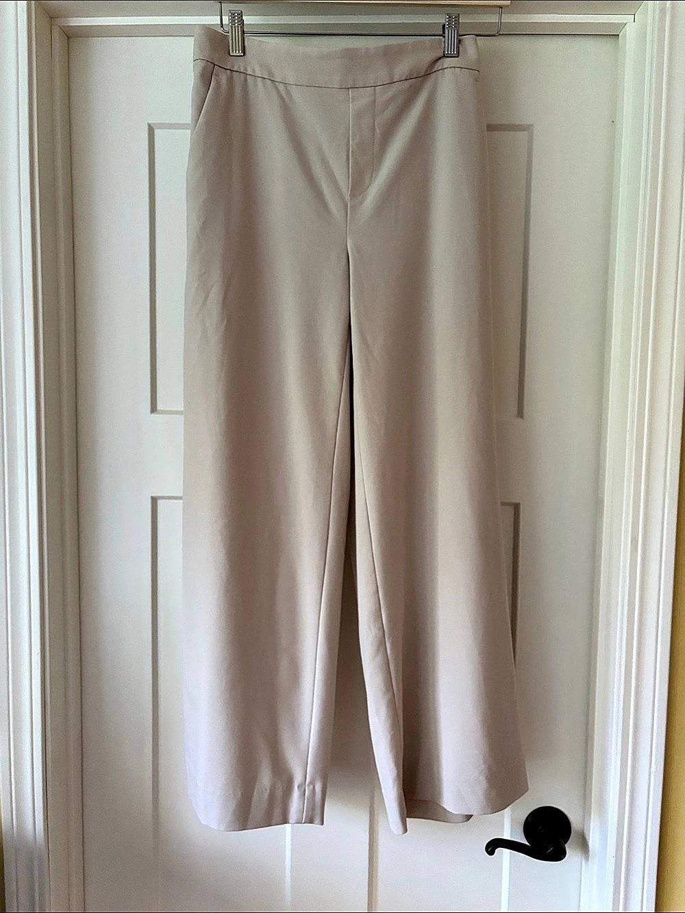 Banana Republic Hayden Wide-Leg Wide Leg Pants in Oyster Pearl , 4P, like new
